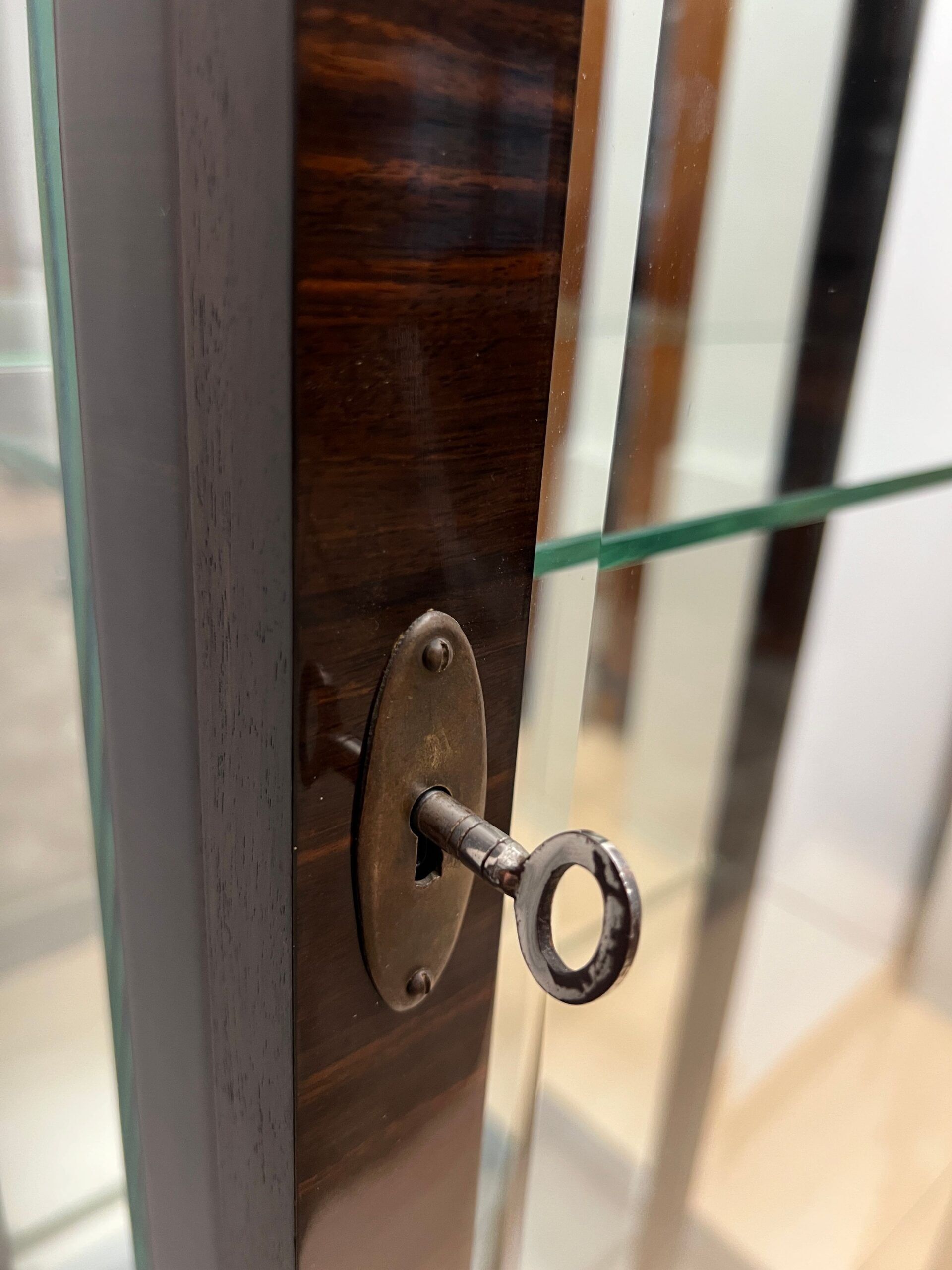 Art Deco Display Cabinet, Macassar Veneer, France, circa 1930 - Image 13